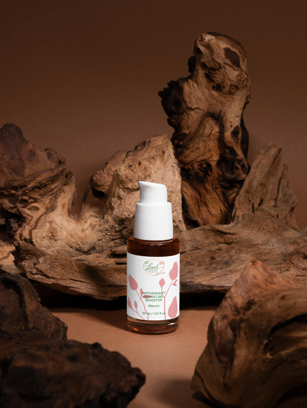 Antioxidant Ginkgo Gel Booster